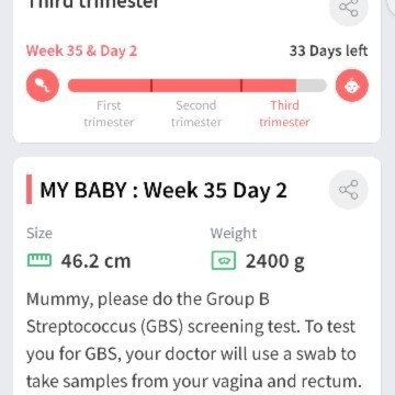 GBS Screening test