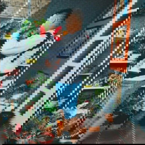 Gendongan SSC. M-Shape 🌈