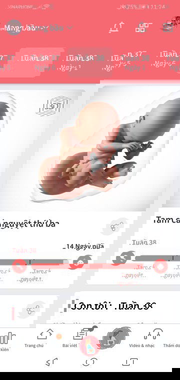 38w rồi bầu tập đầu