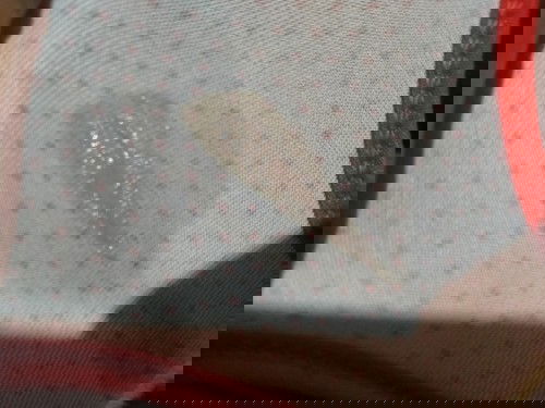 40 weeks . Brownish pink plug