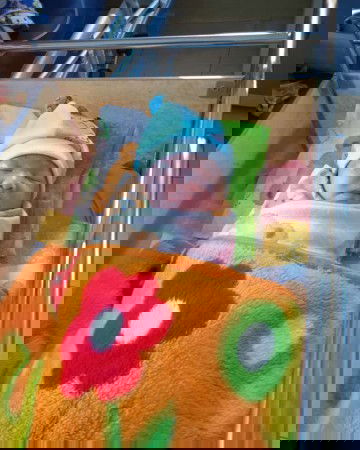 Alhamdulillah Launching 38w4d