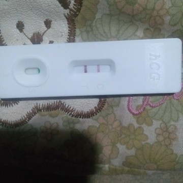 ตอนนี้ได้ 7 สัปดาห์แล้วจ้า
