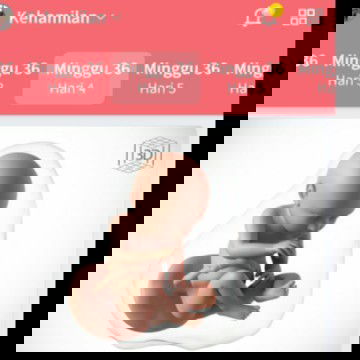 Bagi cerita dong bun,sapa yg sama usia kandugan nya degan sya,36 minggu 4 hri