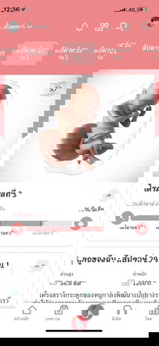 ท้องแข็ง 28-29 w