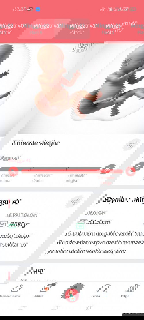 Hpl 24 November belum lahiran juga