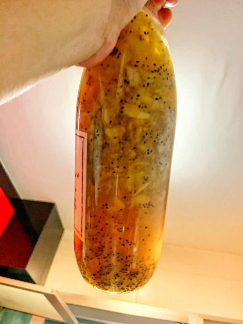 Kombucha e