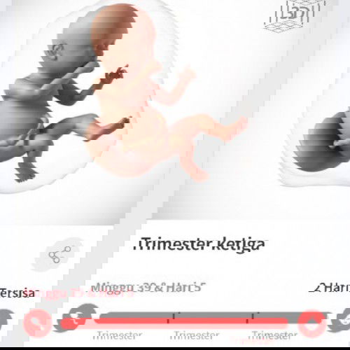 Ini gimana ya bun 2hari lg tp deutun masih anteng aja blm juga kontraksi2😞