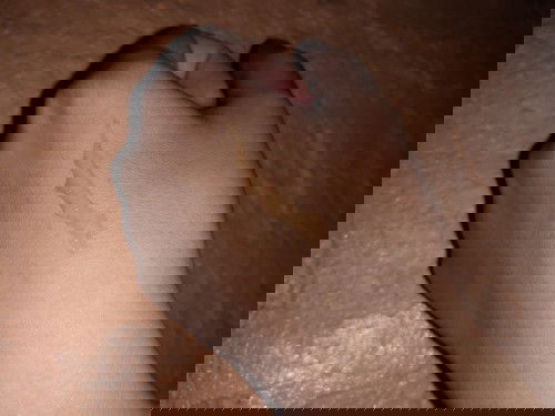 มีมูกใสออกมาแบบนี้ค่ะ