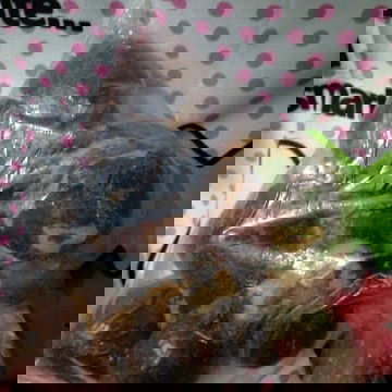 Telat haid setelah minum zuriat