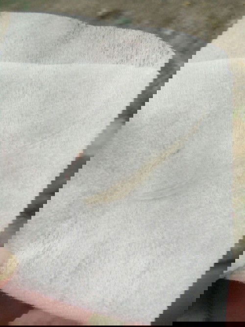 Cho e xin ý kiến với ạ