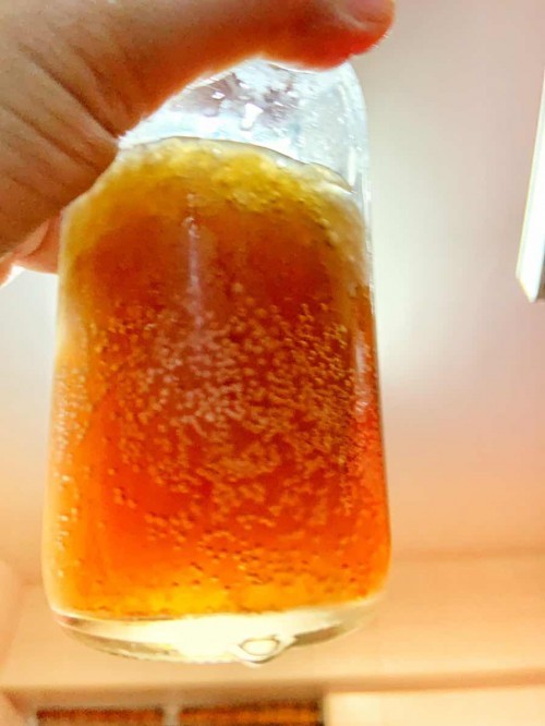 Kombucha drinking