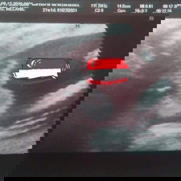 Pa Help It Us BoylOr Girl