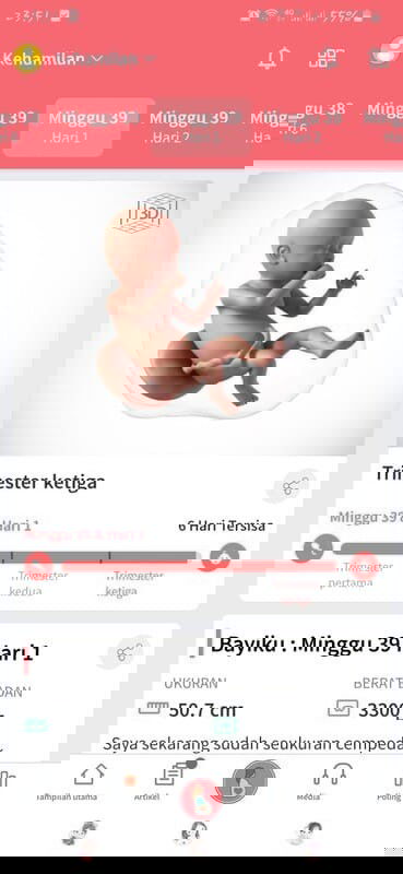 Masukan untuk calon ibu baru