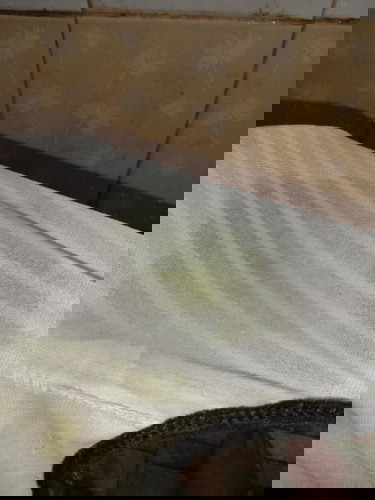 นี่ใช่น้ำคล่ำมั้ยคะ