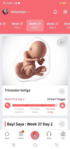 Baby disember 2020