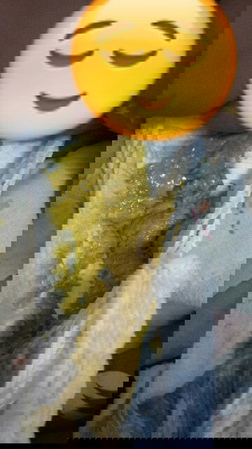 Warna pup hijau kekuningan