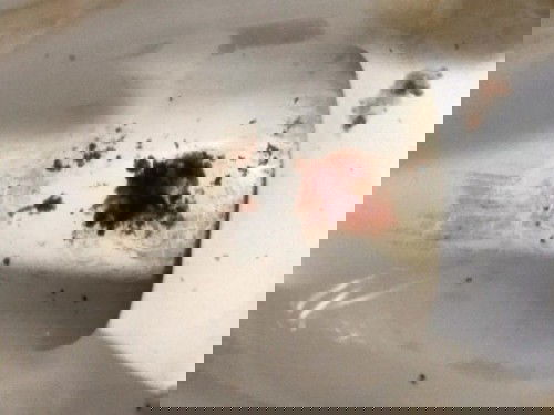 ท้อง39สัปดาห์ มีอาการท้องผูกตอนถ่ายครั้งแรก หลังจากนั่นก็ถ่ายออกมาตามรูปไม่แน่ใจว่าถ่ายเป็นเลือดไหม