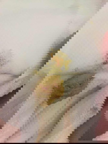 อึแบบนี้ต้องรีบพาน้องไปหาหมอเลยมั้ยคะ