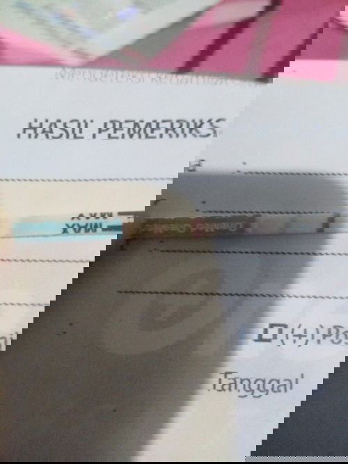 Hamil sedang menyusui