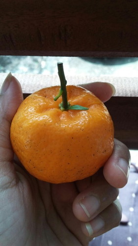 Solusinya dong bun,kalo sore sampe malem suka tiba tiba perut kembung