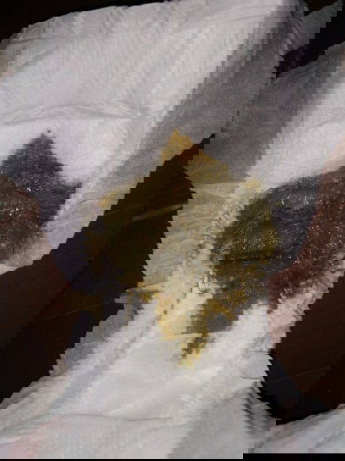 การขับถ่าย