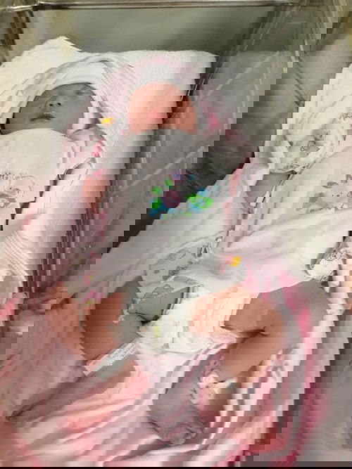 คลอดแล้วจร้า