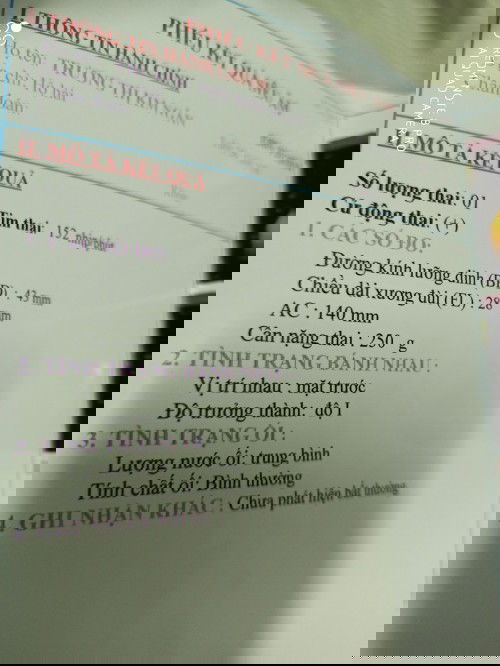 E bầu 18w5 thì ra dịch hồng