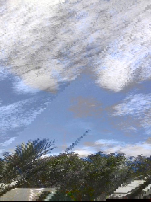 Kotoran telinnga anak