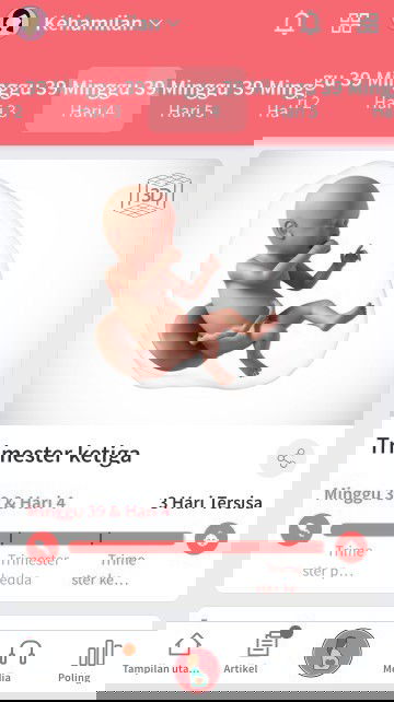 Masih belum ada tanda2