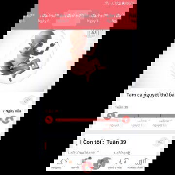 Mong mỏi chờ con