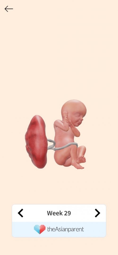 Post reply image