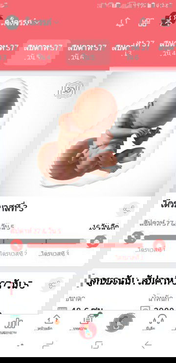 ซาววันที่2ธันวาที่ผ่านมากำหนดคลอด19ธันวาทารกในครรภ์น้ำหนัก3236gเพื่อนๆคิดว่าน้ำหนักตามเกณฑ์ไหมค่ะ