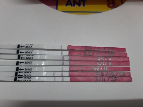 แบบนี้ไข่ใกล้ตก
ทำการบ้านทุกวันจะดีไหมคะ
อยากมีน้องคะ
ปล่อย2เดือนแล้วคะ
สู้ๆๆๆ ตื่นเต้น แค่ไข่ตก😀