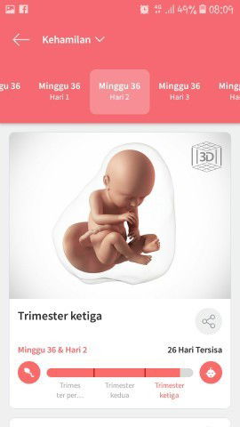 Kki bengkak tersa skt