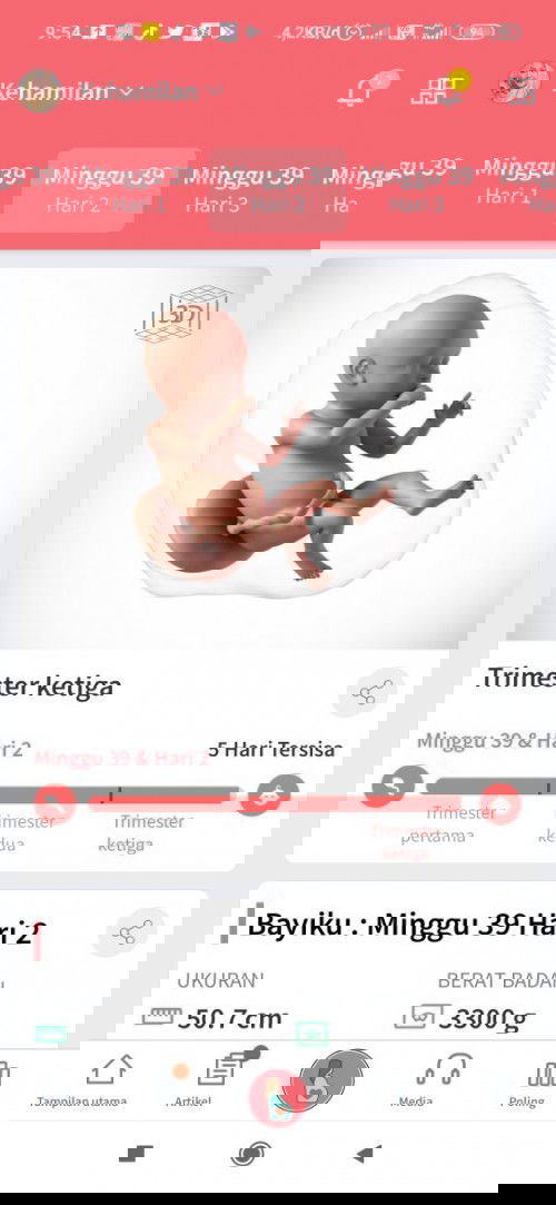 Menunggu gelombang cinta