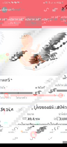 ทีมเดือนธันวา