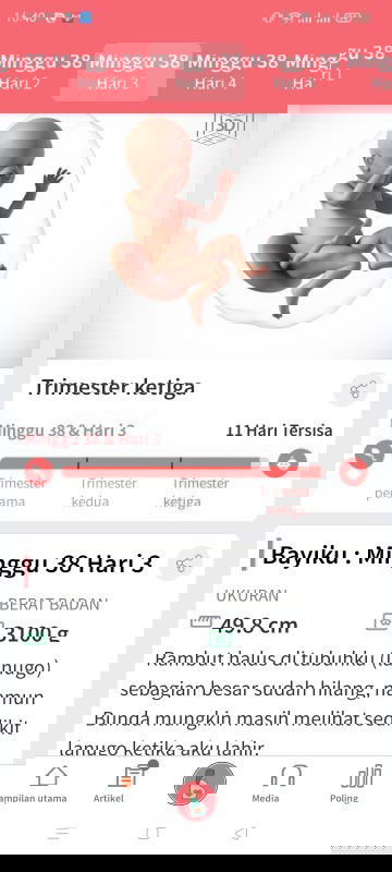 menunggu gelombang cinta dari debay