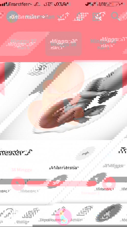 Menunggu gelombang cinta