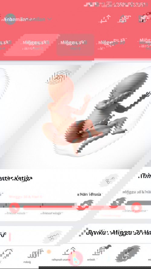 Sudah ingin mendapatkan gelombang cinta dari dedek