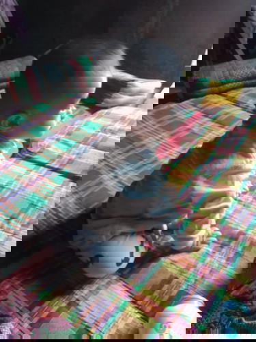 ไอ้เด็กดื้อ