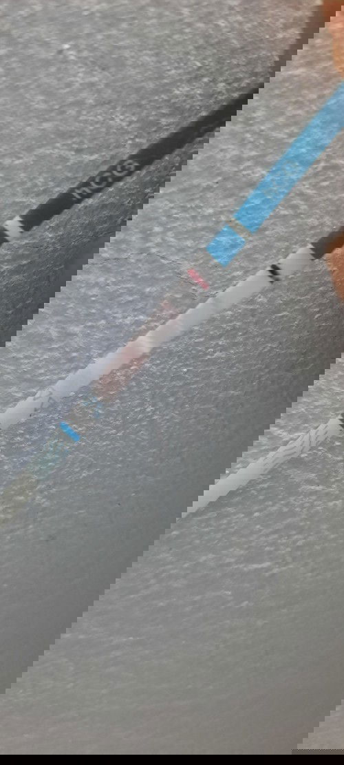 Thả 7 tháng rồi nay thấy vạch thứ 2 rồi mong con vào tổ an toàn và có tim thai con nhé