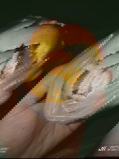 kebiasaan aneh selam hamil