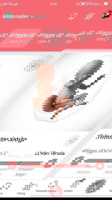 Menanti Gelombang Cinta