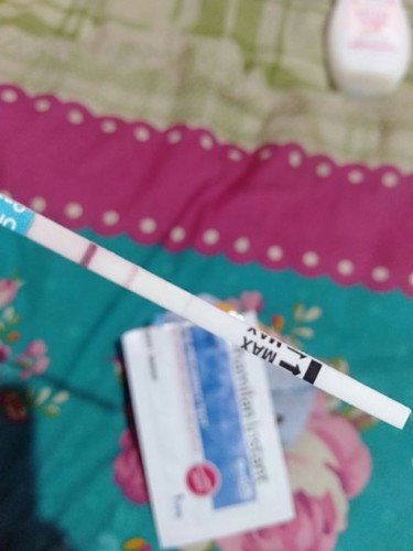 Garis 2 tp samar