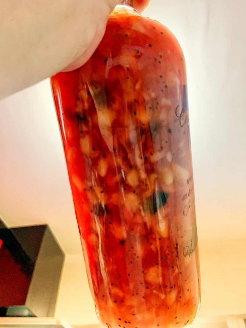 Kombucha F2