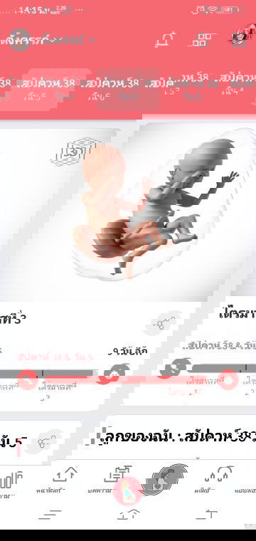 ตอนนี้ 38 สัปดา 5 วัน