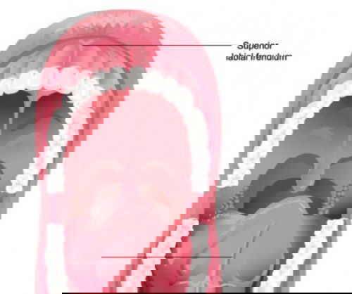 Anak jatuh dan frenulumnya sobek