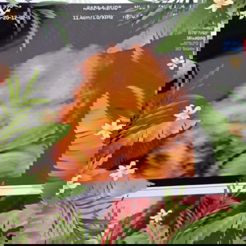 38w5d chưa có dấu hiệu gì