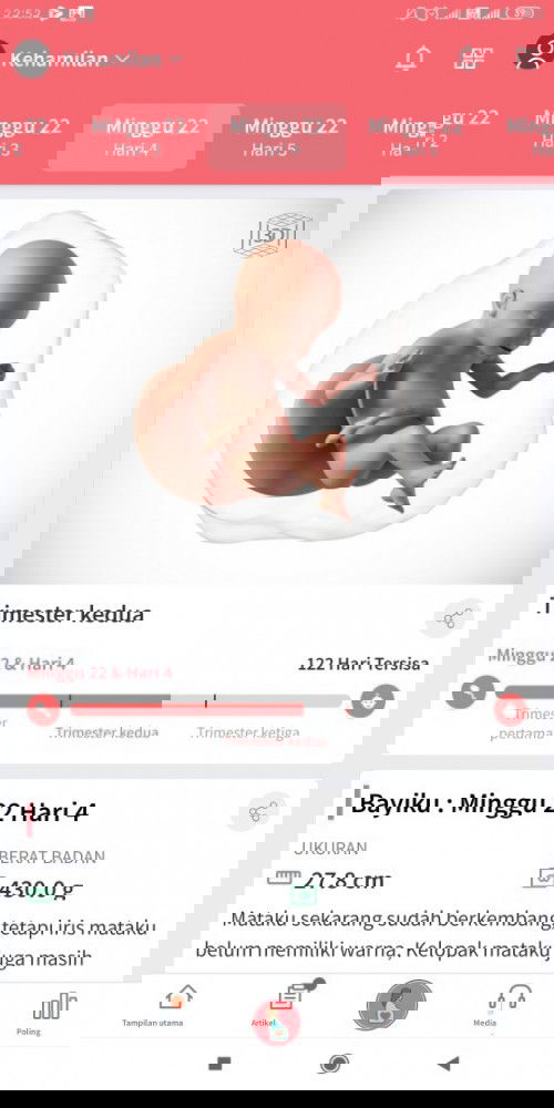 Berapa bulan kehamilan