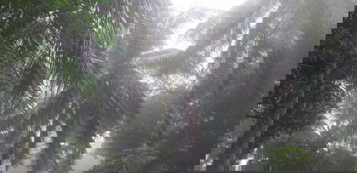 Gudmorning mga mommies!!!!